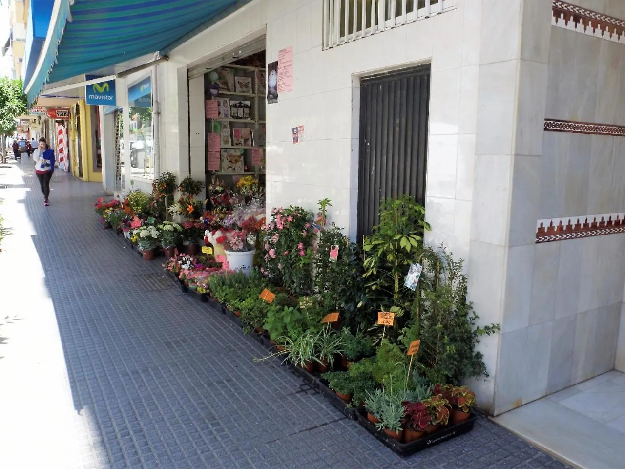Apartment Suite Homes La Victoria Malaga